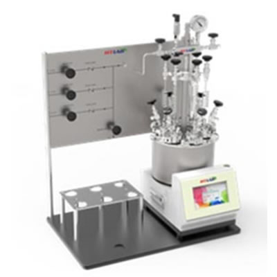 6位平（píng）行（háng）反应釜